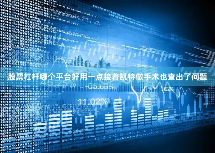 股票杠杆哪个平台好用一点接着凯特做手术也查出了问题