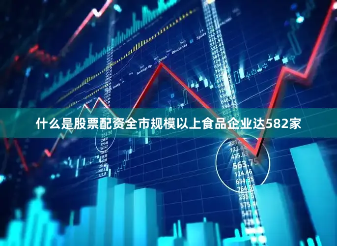 什么是股票配资全市规模以上食品企业达582家